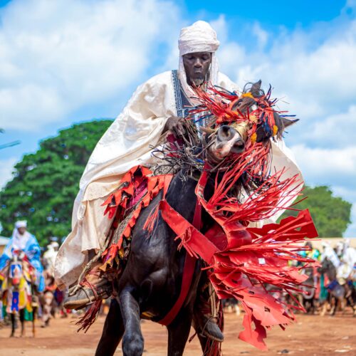 Cavalier en boubou blanc sur un cheval paré de longues franges rouges, lors du défilé des cavaliers.